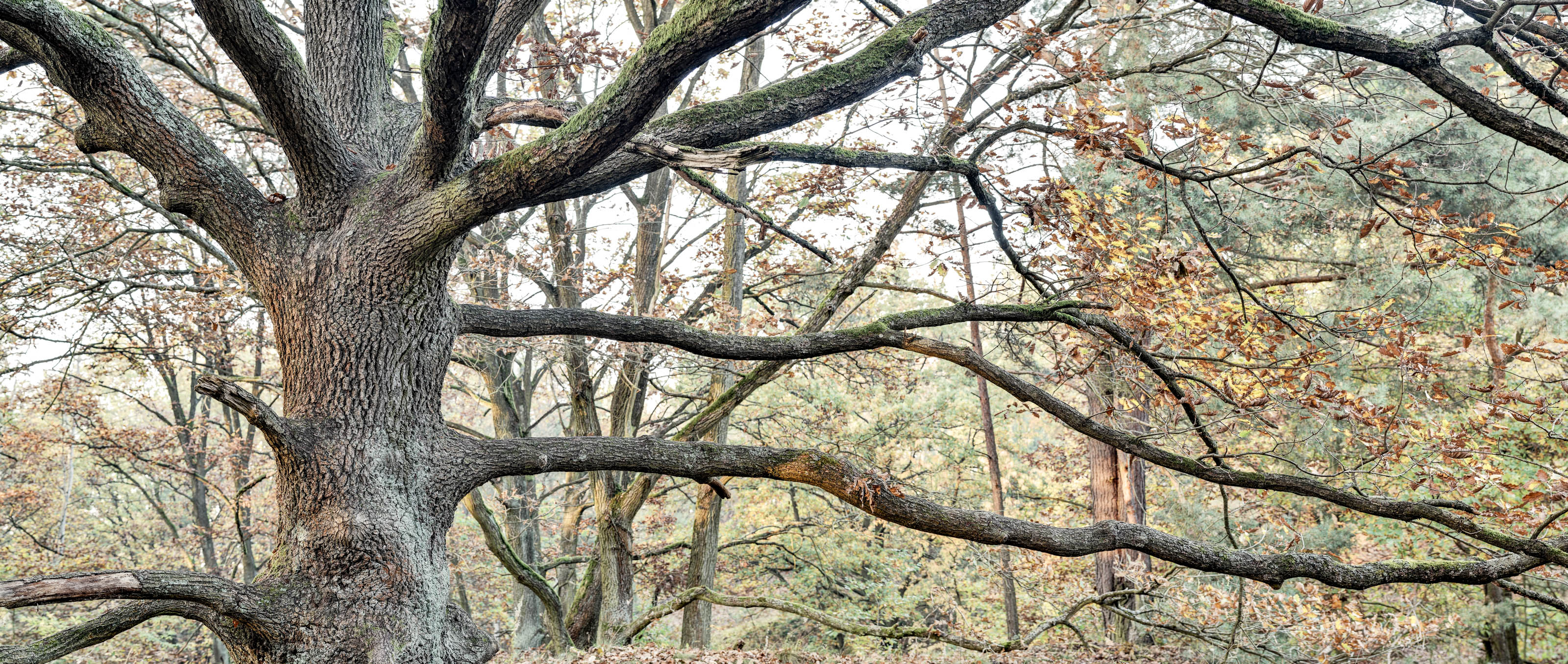 Sandberge Heiligensee